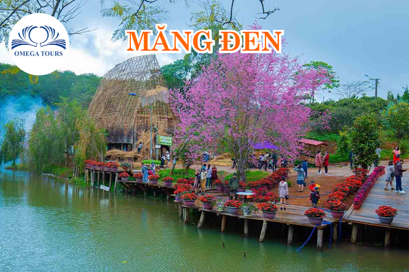 [2N1Đ] QUẢNG NGÃI - MĂNG ĐEN