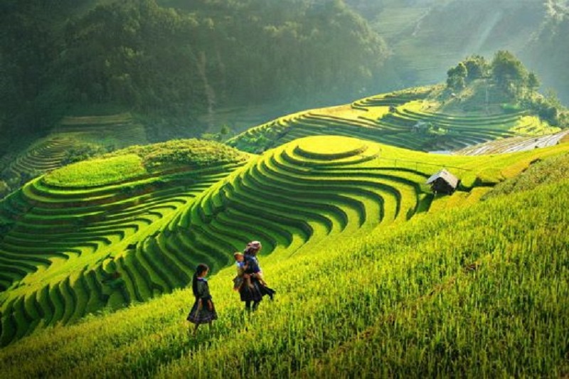 MỘC CHÂU - SƠN LA - ĐIỆN BIÊN