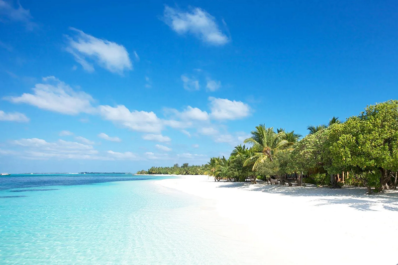 [3N2Đ] ĐÀ NẴNG - PHÚ QUỐC